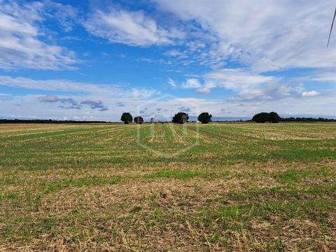 Vettweiß Bauernhöfe, Landwirtschaft, Vettweiß Forstwirtschaft