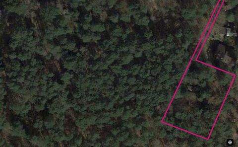 Dierstorf Heide (Wenzendorf) Grundstücke, Dierstorf Heide (Wenzendorf) Grundstück kaufen