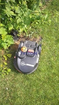 Bild 23
