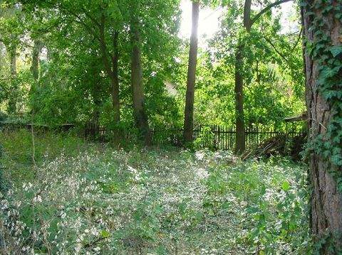 Hoppegarten Grundstücke, Hoppegarten Grundstück kaufen