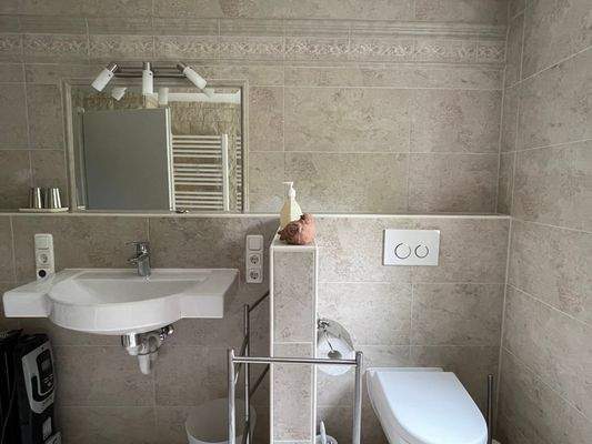 Neues Bad mit Dusche Anbau UG