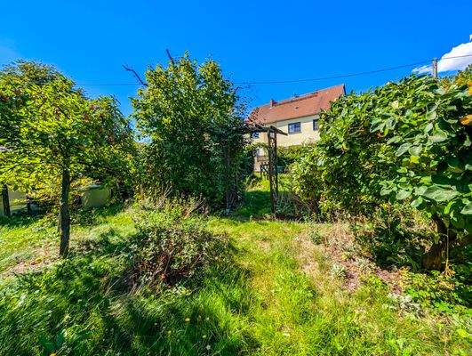 Hausanblick aus dem Garten