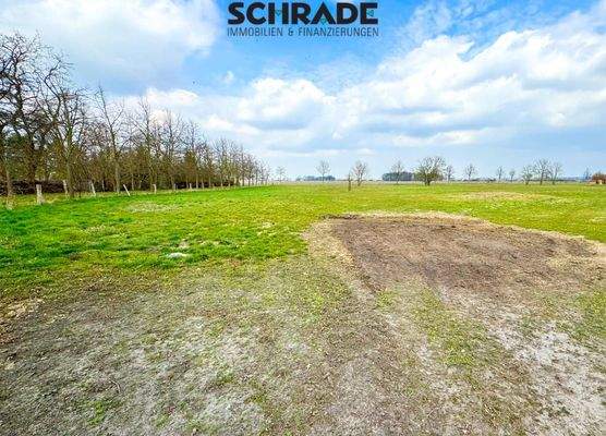 ...auslaufend als Grünfläche