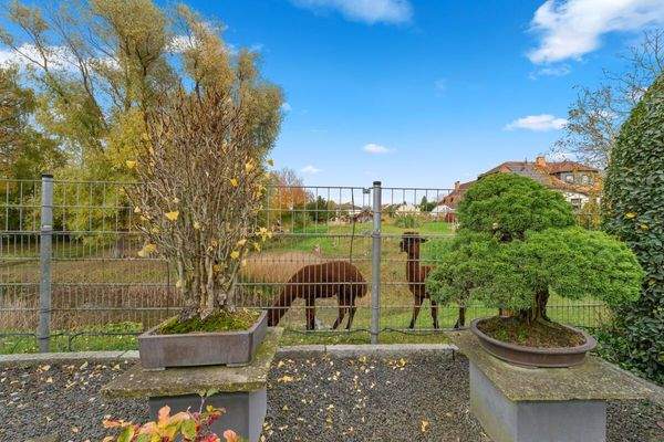 "... die freundlichen Nachbarn ..."