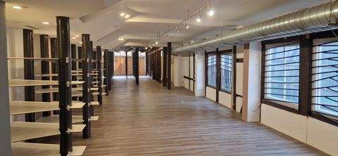 Celle Ladenlokale, Ladenflächen 