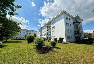 Hausansicht mit Garten 2