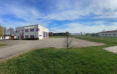 Sömmerda Halle, Sömmerda Hallenfläche