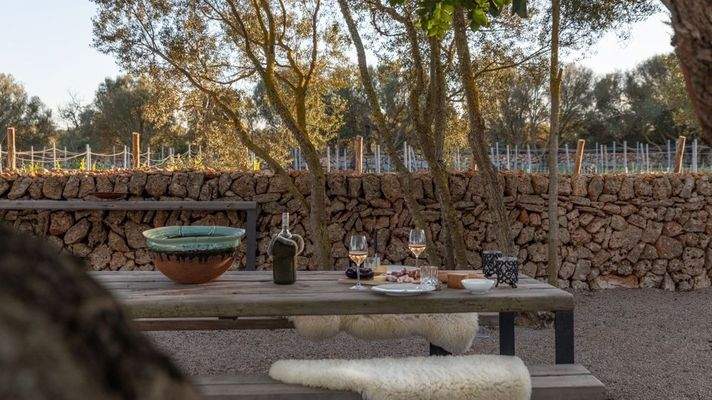 f5a53049-a6b6-436a-a2ab-3cc083e99f55