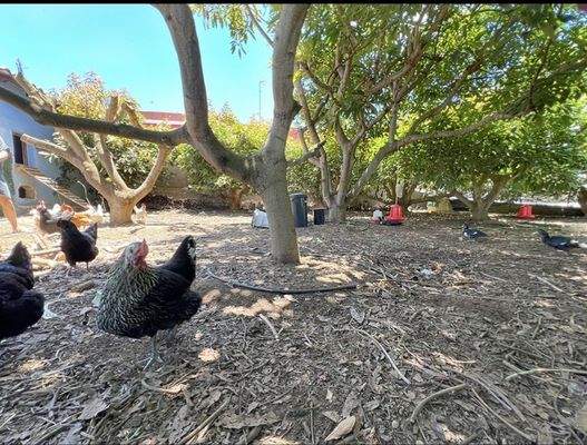 WhatsApp Image 2025-05-01 at 12.22.05.jpeg