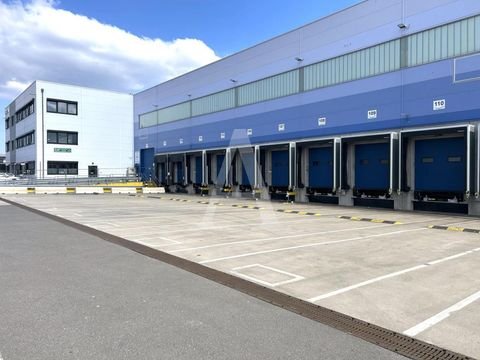 Dormagen Halle, Dormagen Hallenfläche
