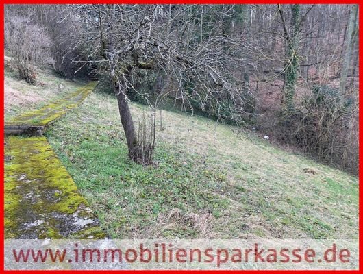 Viel Grün ums Grundstück