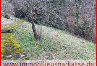 Viel Grün ums Grundstück