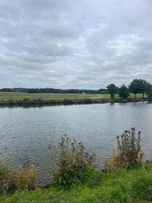 naturnaher Europakanal Bild 2 