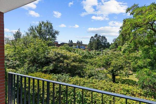 Blick ins grüne Rahlstedt vom Balkon aus