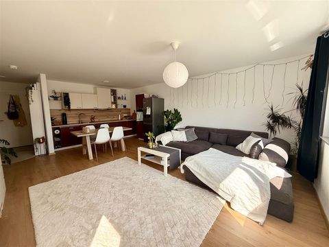 Niedereschach Wohnungen, Niedereschach Wohnung mieten