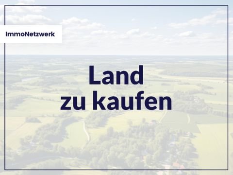 Sachsendorf Bauernhöfe, Landwirtschaft, Sachsendorf Forstwirtschaft