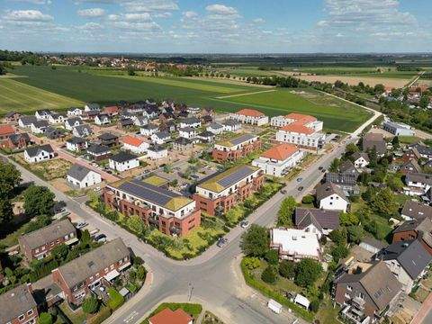 Springe Wohnungen, Springe Wohnung mieten