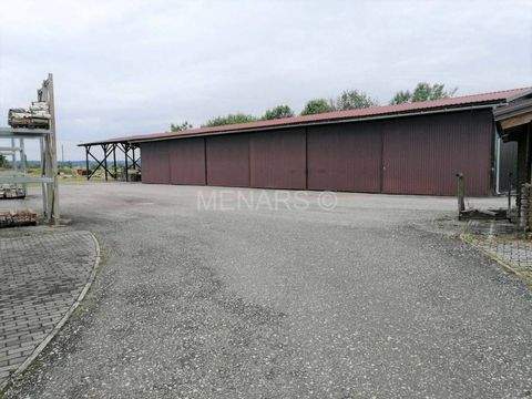 Marusevec Halle, Marusevec Hallenfläche