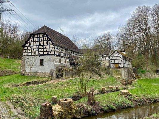 15 Baumpflege am Seebach abgeschlossen.jpg