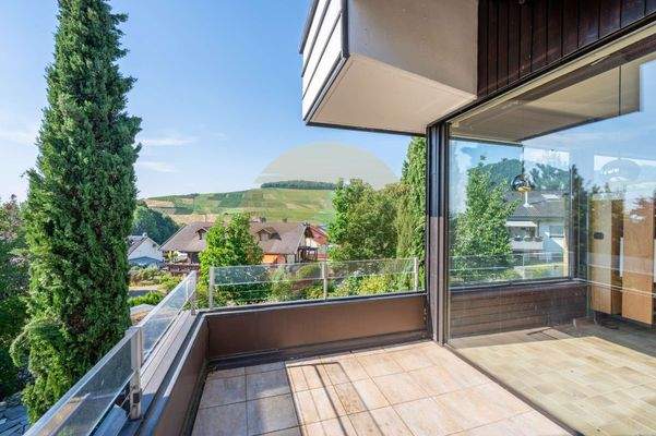 haus-baden-baden-neuweier-terrasse-wolf-immobilien