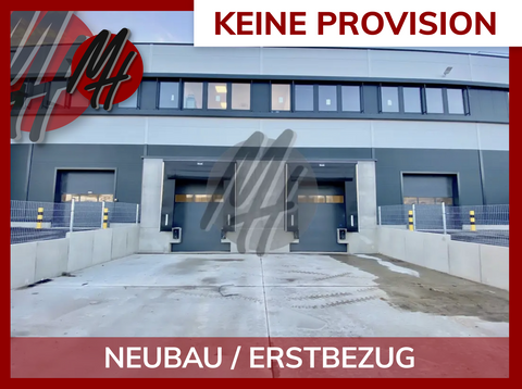 Pfungstadt Halle, Pfungstadt Hallenfläche