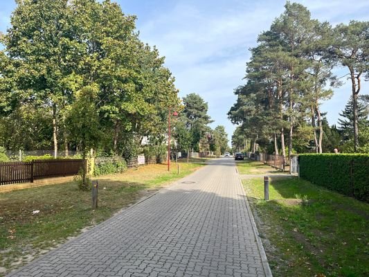 Straße nach Norden