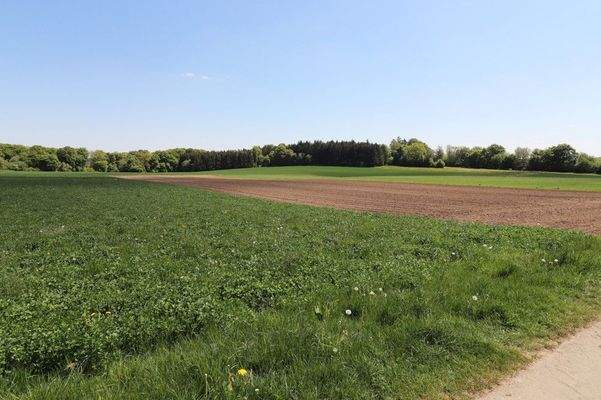 idyllische Umgebung - nur wenige Meter entfernt