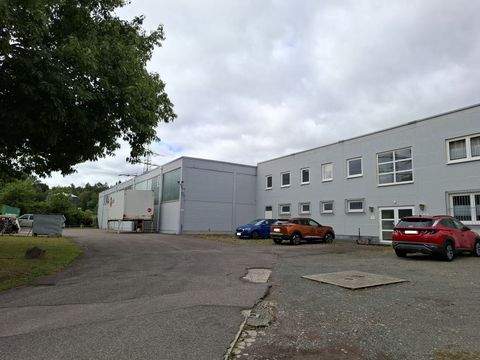 St. Ingbert Halle, St. Ingbert Hallenfläche