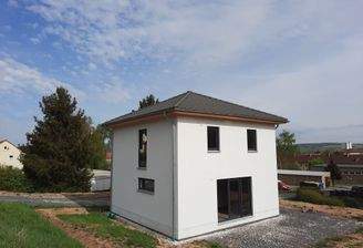 Blick aus dem Garten