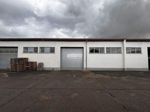 Erfurt Halle, Erfurt Hallenfläche