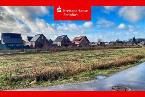 Greven Grundstücke, Greven Grundstück kaufen