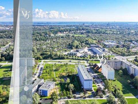 Stralsund Ladenlokale, Ladenflächen 