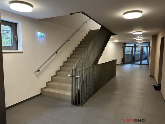 Bild 31