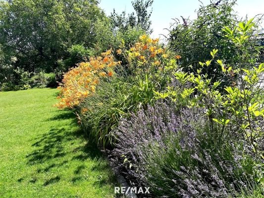 Gartenbereich