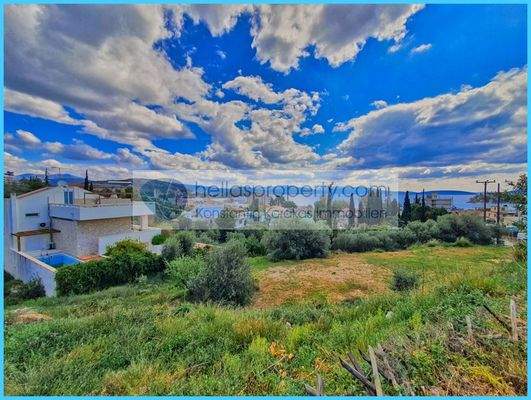 6522f12e30f643cf8258dc6cb44f3658-original