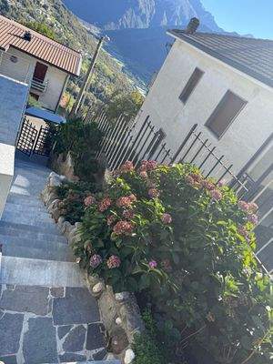 Treppen mit schönen Pflanzen1.jpg