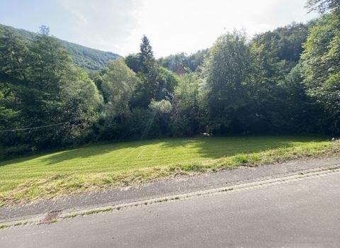 Traben Trarbach Grundstücke, Traben Trarbach Grundstück kaufen