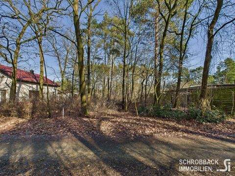 Grünheide (Mark) Grundstücke, Grünheide (Mark) Grundstück kaufen