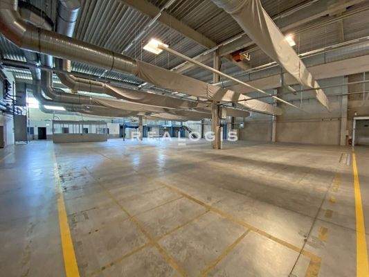 Innenansicht Hallenfläche