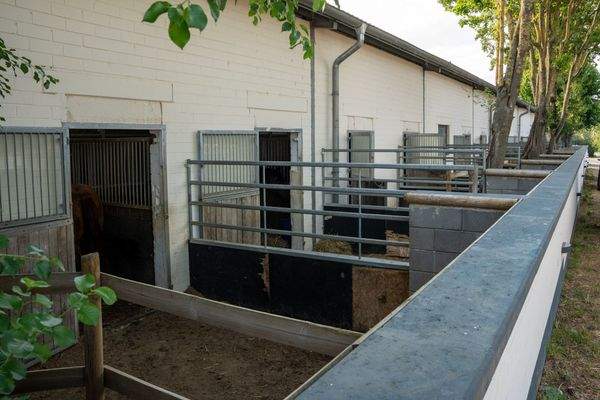 Außenbereich Paddock-Boxen