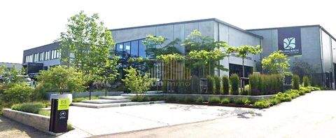 Echternach Büros, Büroräume, Büroflächen 