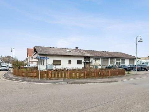 Denzlingen Halle, Denzlingen Hallenfläche