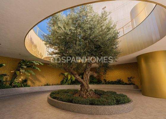 Sea Views Flats Near the Beach in Benidorm Costa Blanca