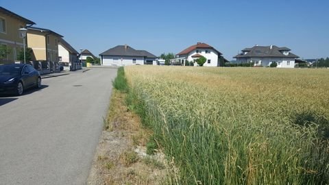 Amstetten Häuser, Amstetten Haus kaufen