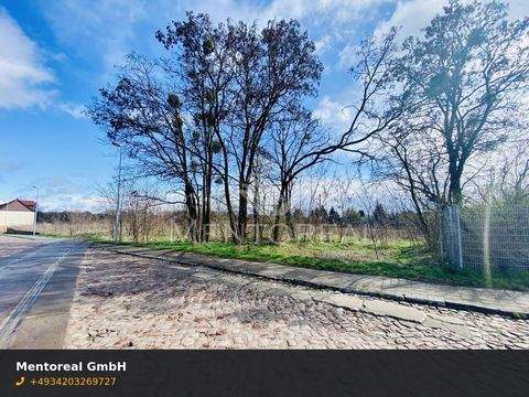 Coswig (Anhalt) Industrieflächen, Lagerflächen, Produktionshalle, Serviceflächen