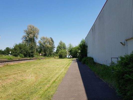 Seitenansicht Roller