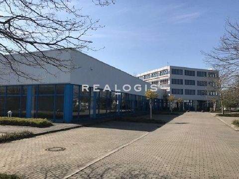 Leipzig Halle, Leipzig Hallenfläche