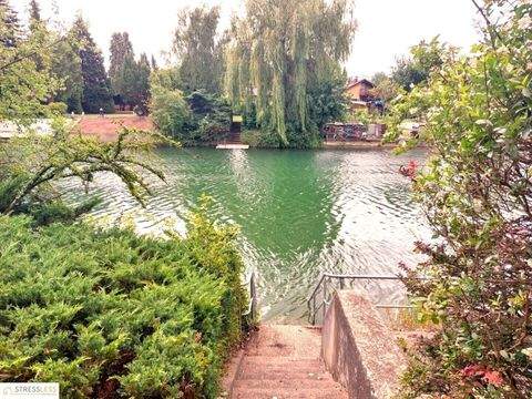 Lassee Häuser, Lassee Haus kaufen