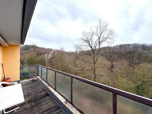 Balkon Wohnzimmer EG