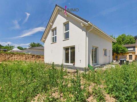 Körperich Häuser, Körperich Haus kaufen